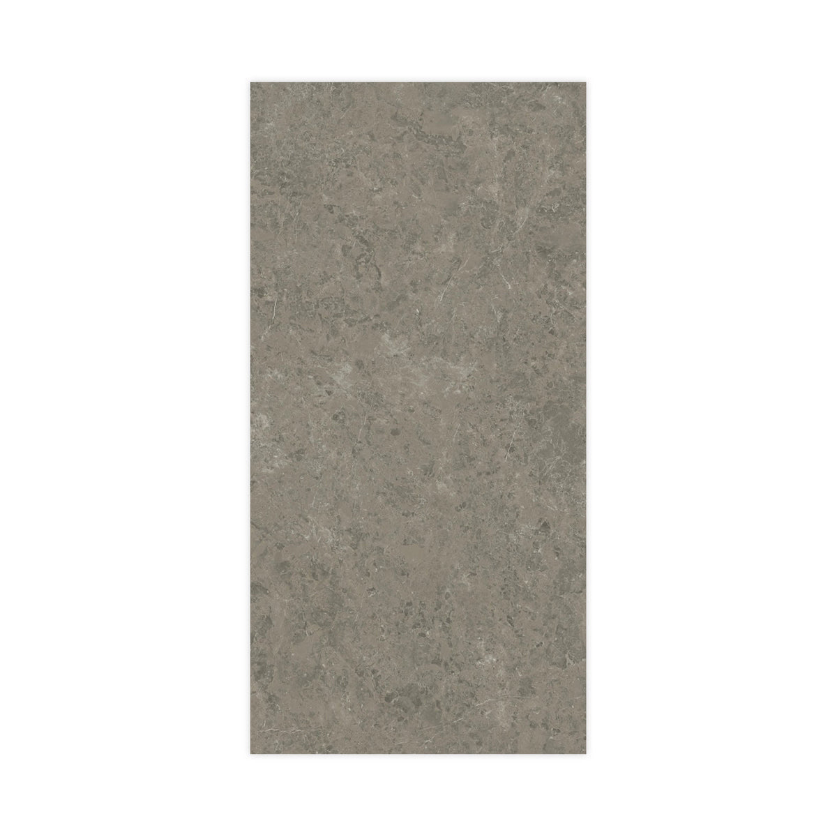 Carrelage effet Marbre Gris Impérial 240x120x0,9 cm Brillant Orsiano - Mur intérieur