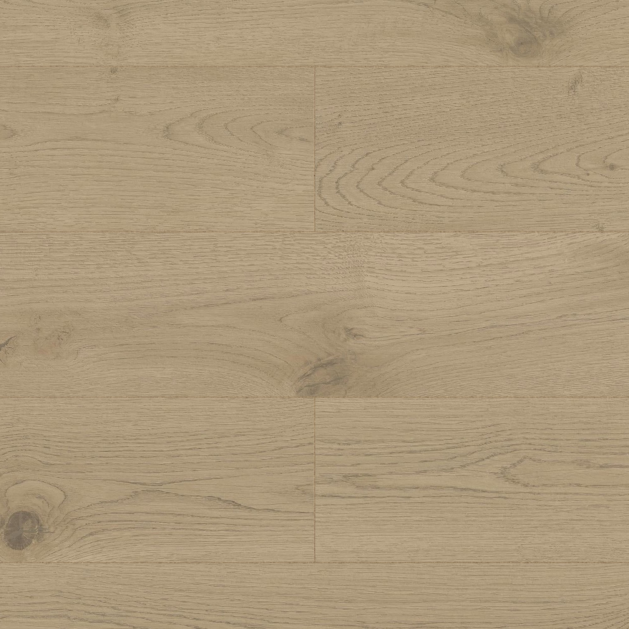 Carrelage effet Bois Chêne Cendré Rustic 120x20x0,9 cm Forenza - Sol extérieur