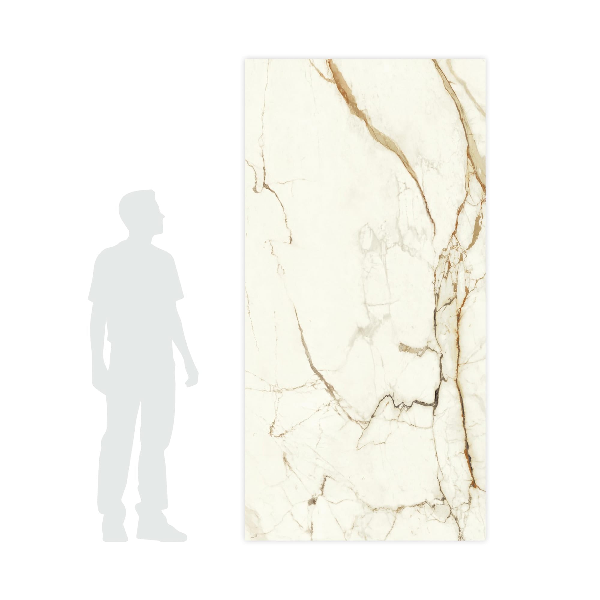 Carrelage effet Marbre Blanc Calacatta Supreme 240x120x0,9 cm Brillant Faventa - Mur intérieur