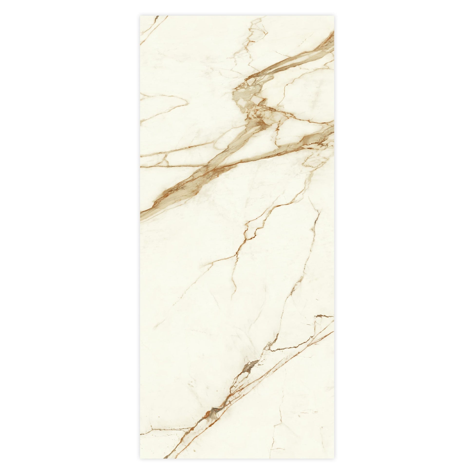Carrelage effet Marbre Blanc Calacatta Supreme 278x120x0,6 cm Brillant Faventa - Mur intérieur