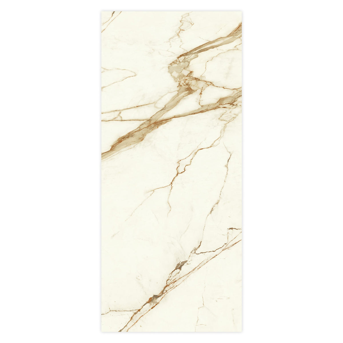 Carrelage effet Marbre Blanc Calacatta Supreme 278x120x0,6 cm Brillant Faventa - Mur intérieur