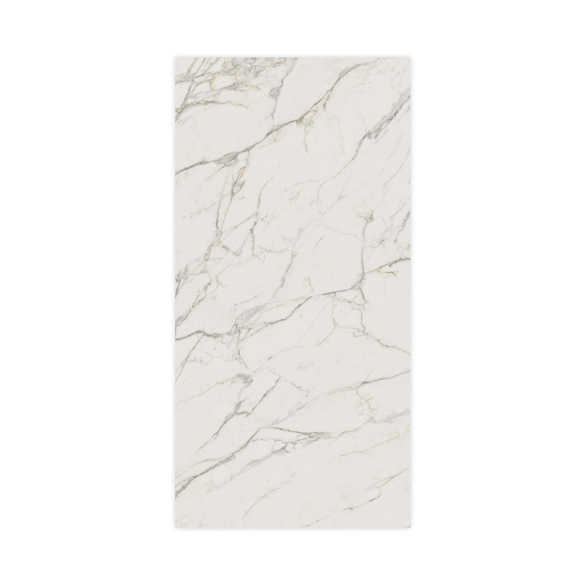 Carrelage effet Marbre Blanc Calacatta Extra 240x120x0,9 cm Brillant Clarenza - Mur intérieur