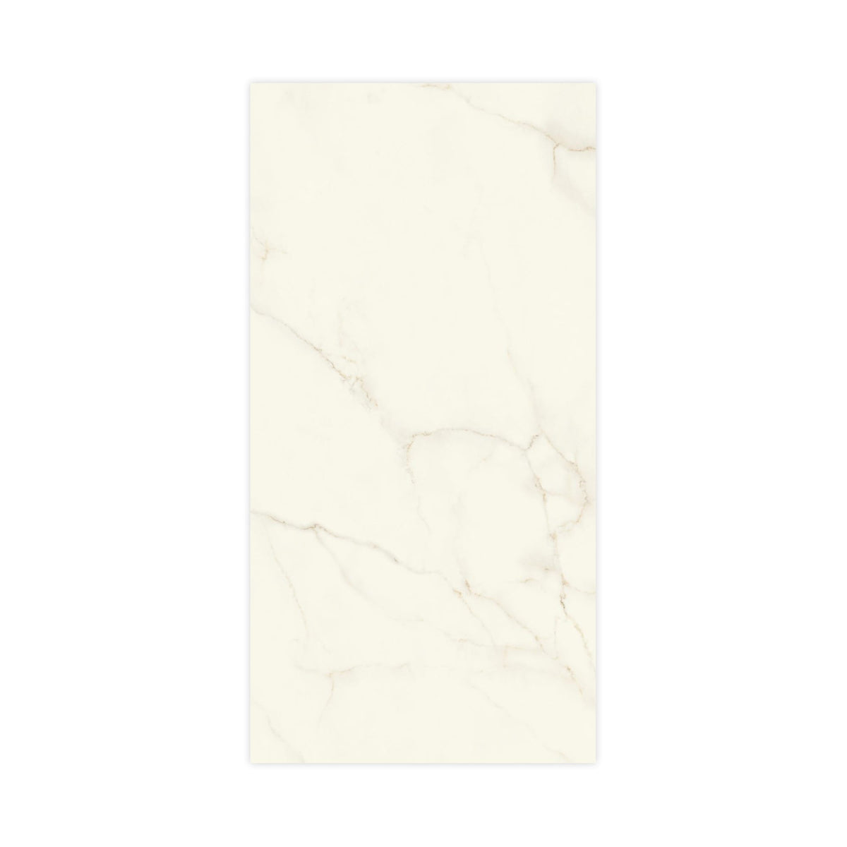 Carrelage effet Marbre Blanc Calacatta Divino 240x120x0,9 cm Brillant Montira - Mur intérieur