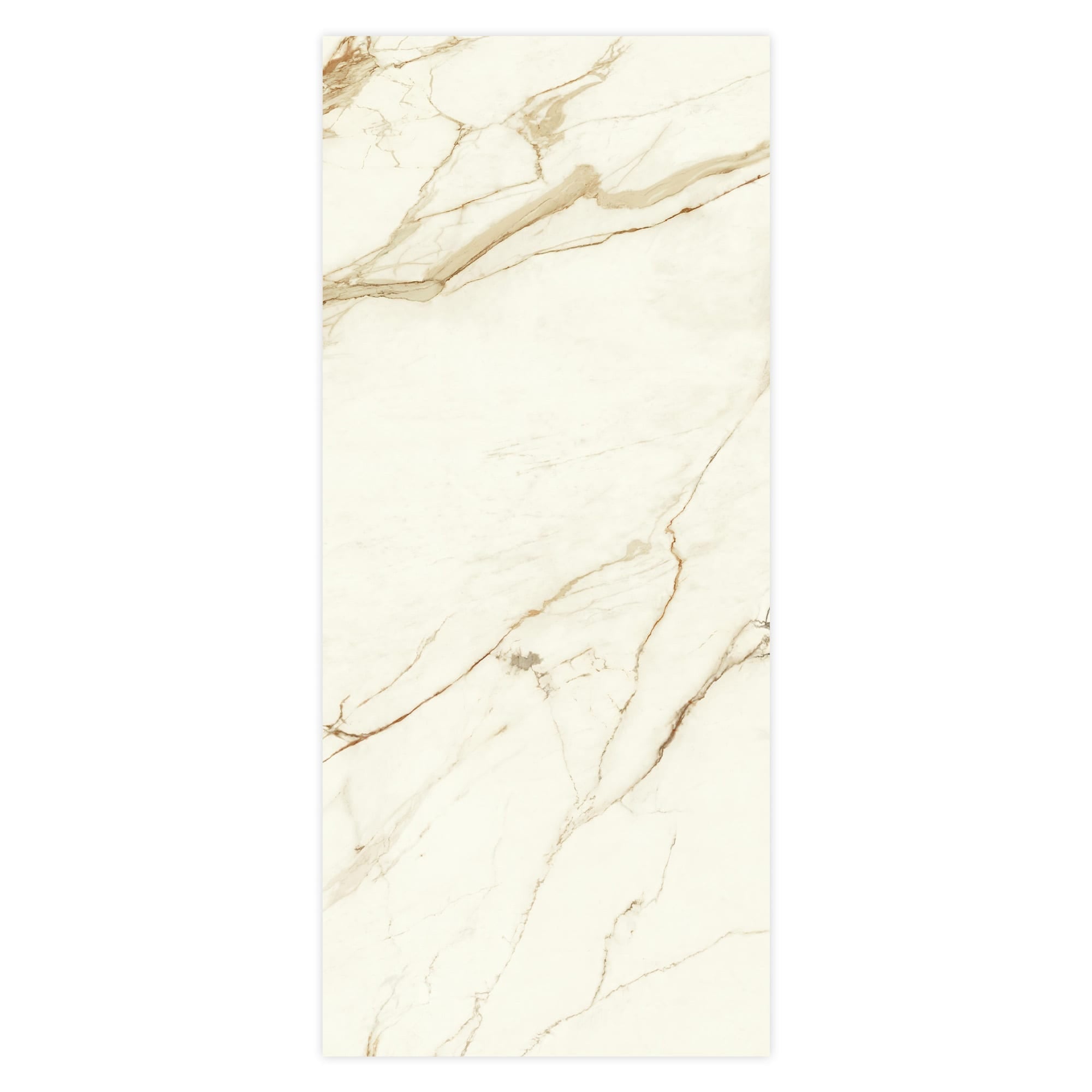 Carrelage effet Marbre Blanc Calacatta Supreme 278x120x0,6 cm Brillant Faventa - Mur intérieur
