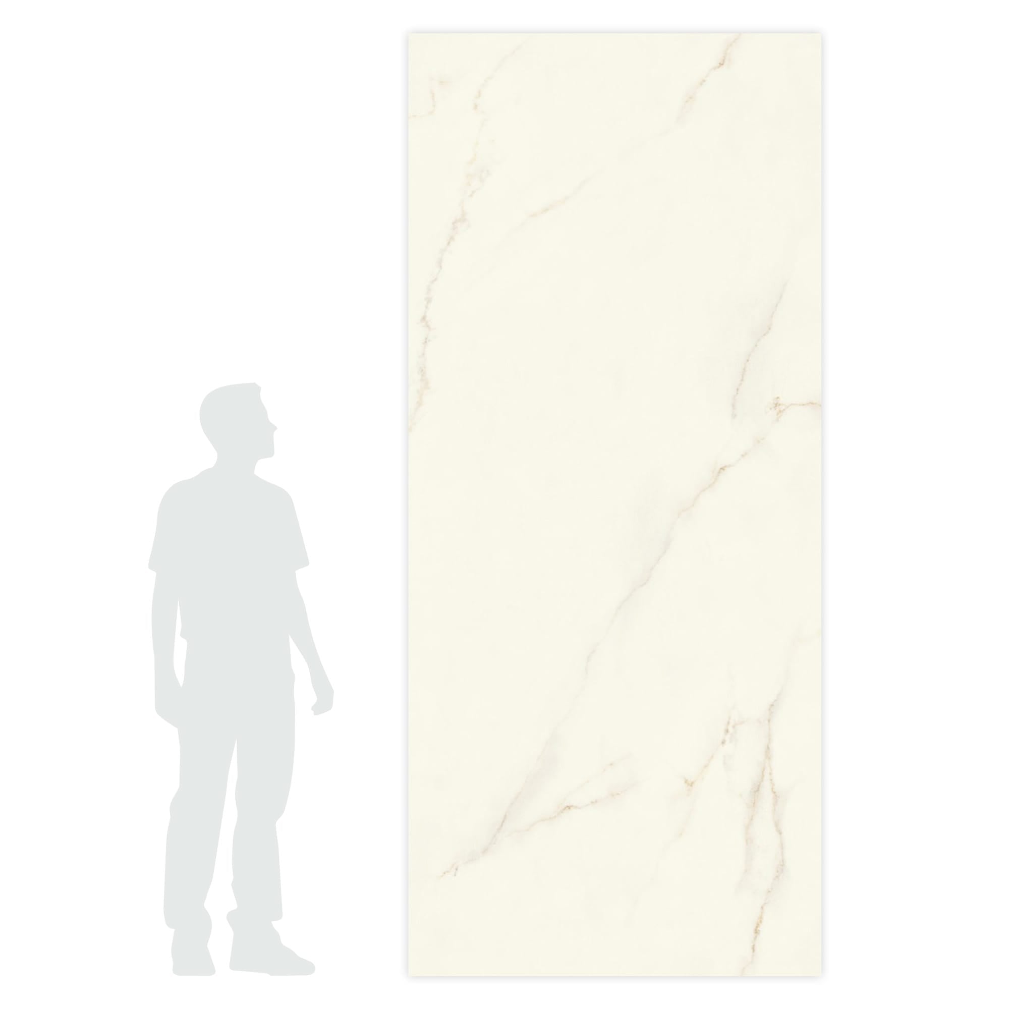 Carrelage effet Marbre Blanc Calacatta Divino 278x120x0,6 cm Brillant Montira - Mur intérieur