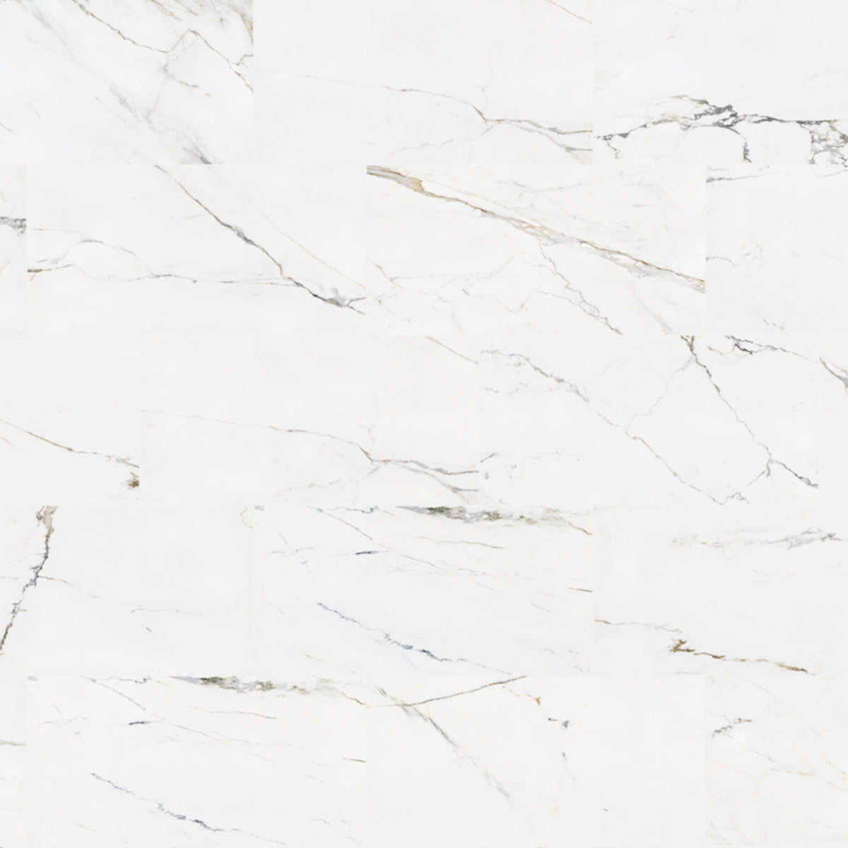Carrelage effet Marbre Blanc Carrare 97,9x48,8x1 cm Capri - Sol extérieur