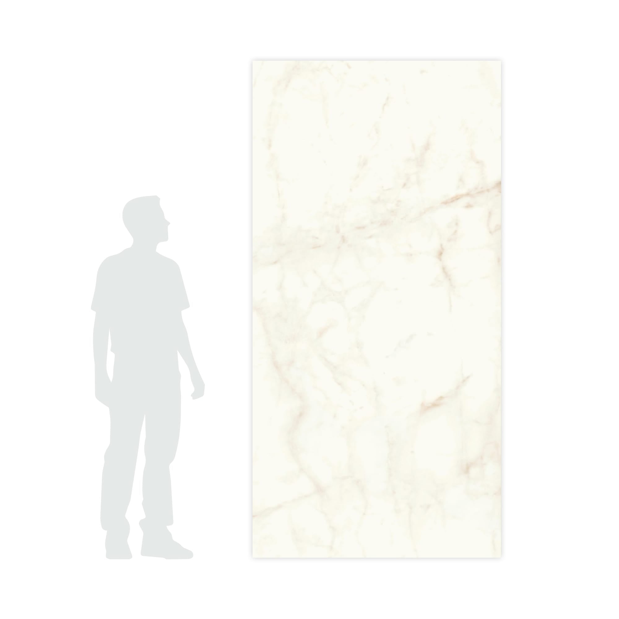 Carrelage effet Marbre Blanc Calacatta Celeste 240x120x0,9 cm Brillant Faventa - Mur intérieur