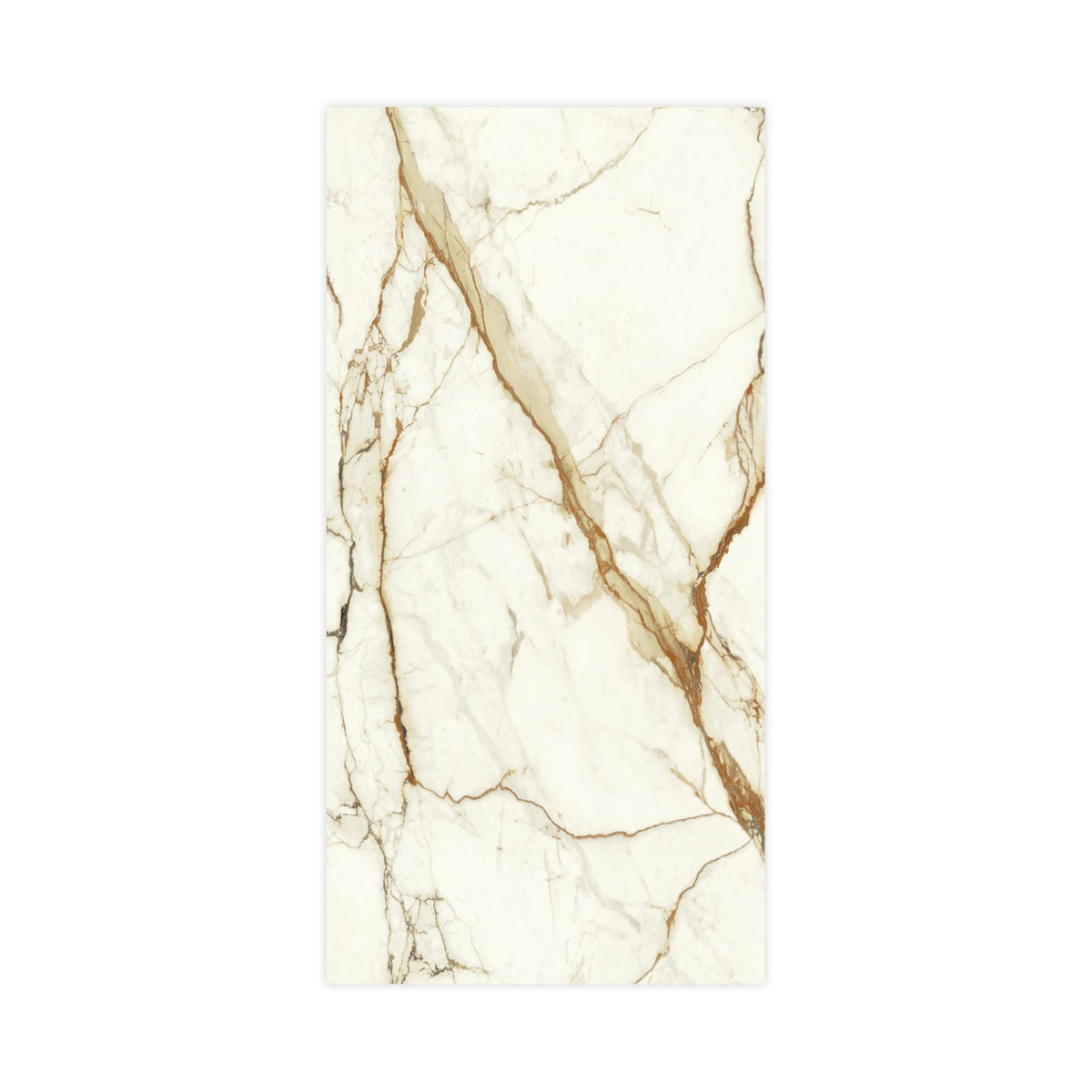 Carrelage effet Marbre Blanc Calacatta Supreme 240x120x0,9 cm Brillant Faventa - Mur intérieur