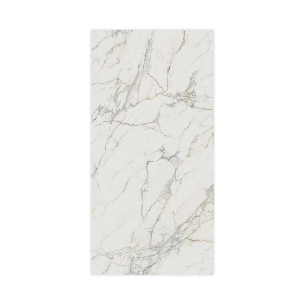 Carrelage effet Marbre Blanc Calacatta Extra 240x120x0,9 cm Brillant Clarenza - Mur intérieur