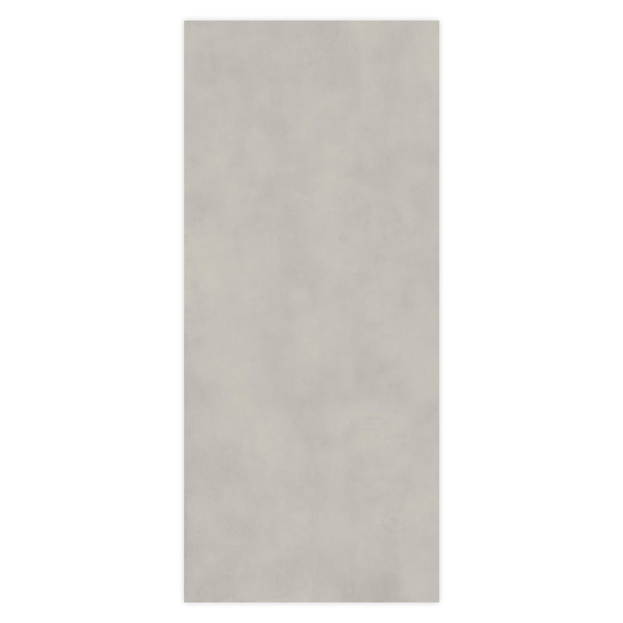 Carrelage effet Béton Gris Brume 278x120x0,6 cm Mat Montera - Mur intérieur