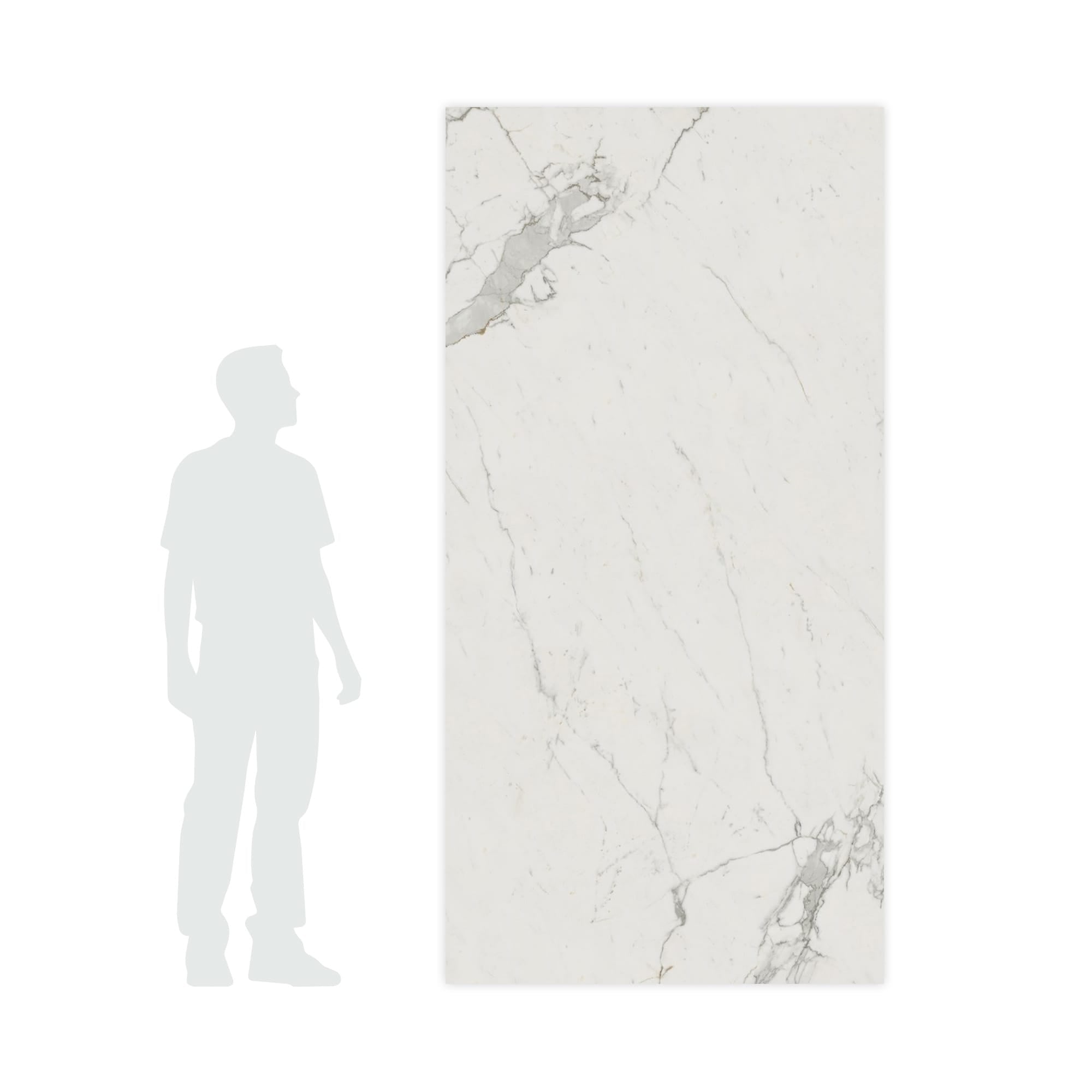 Carrelage effet Marbre Blanc Calacatta Extra 240x120x0,9 cm Brillant Clarenza - Mur intérieur
