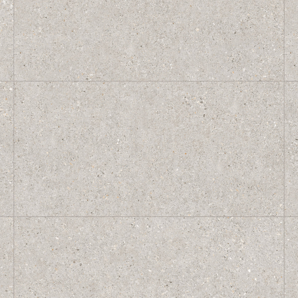 Carrelage effet Béton Gris Silver 100x50x2 cm Arvelis - Sol extérieur