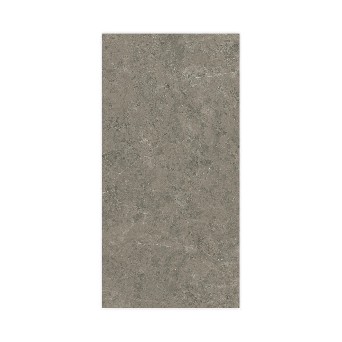 Carrelage effet Marbre Gris Impérial 240x120x0,9 cm Brillant Orsiano - Mur intérieur