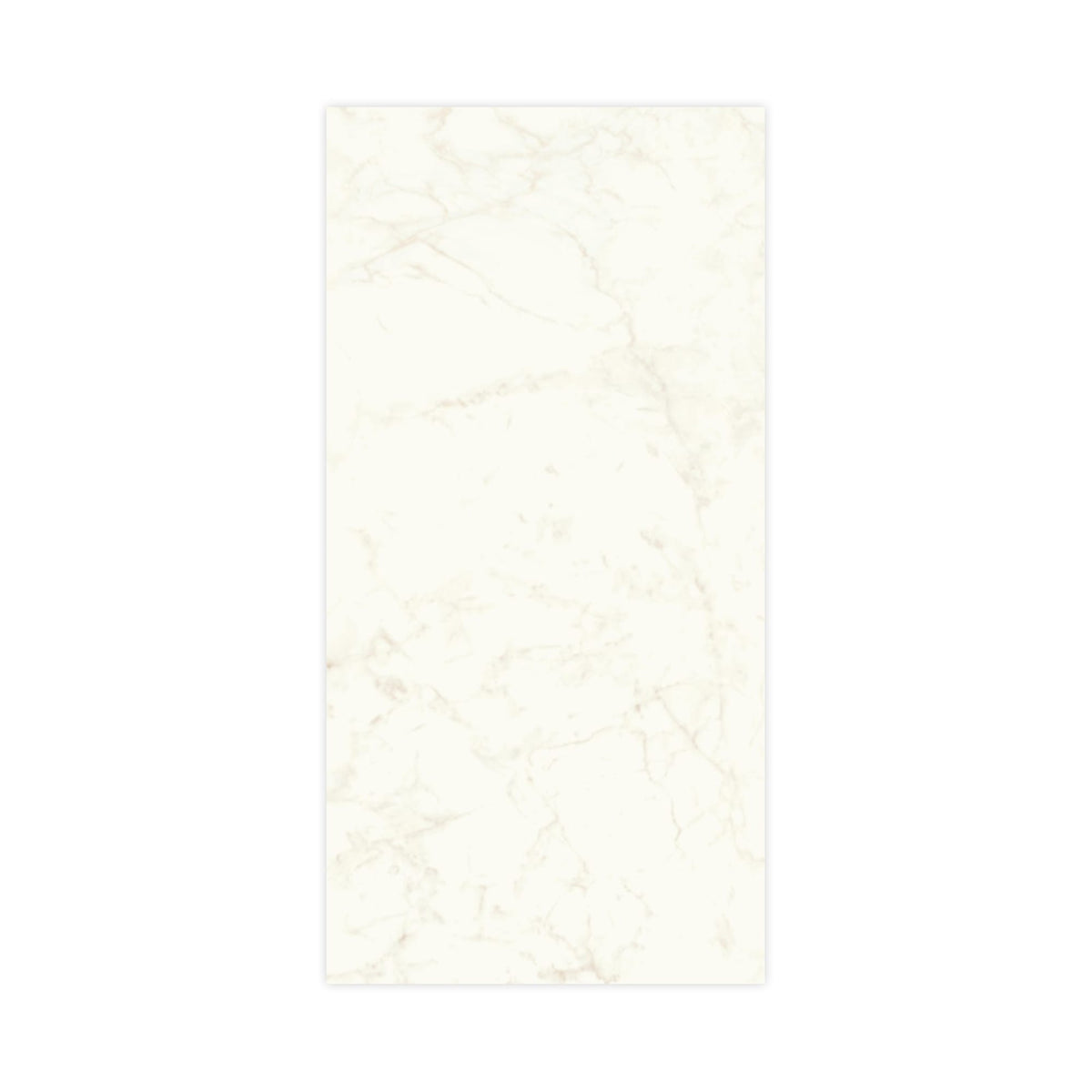 Carrelage effet Marbre Blanc Calacatta Celeste 240x120x0,9 cm Brillant Faventa - Mur intérieur