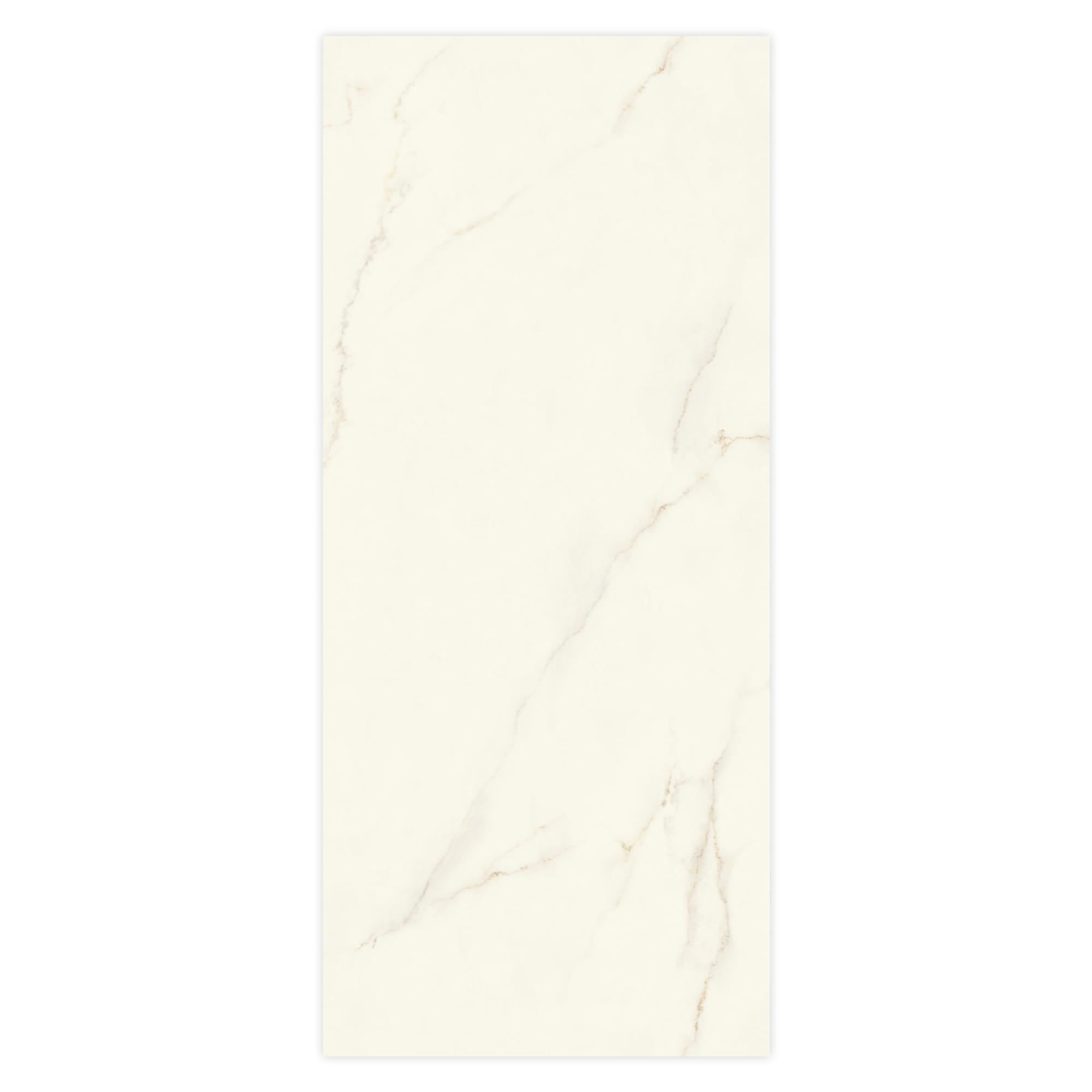Carrelage effet Marbre Blanc Calacatta Divino 278x120x0,6 cm Silk Montira - Mur intérieur