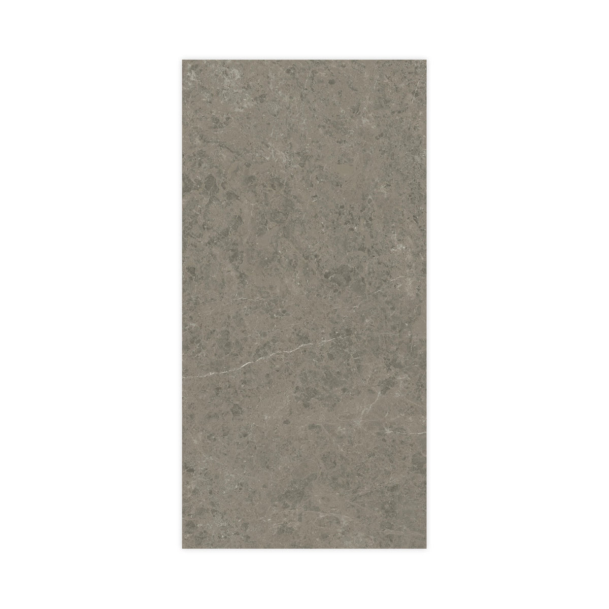 Carrelage effet Marbre Gris Impérial 240x120x0,9 cm Brillant Orsiano - Mur intérieur