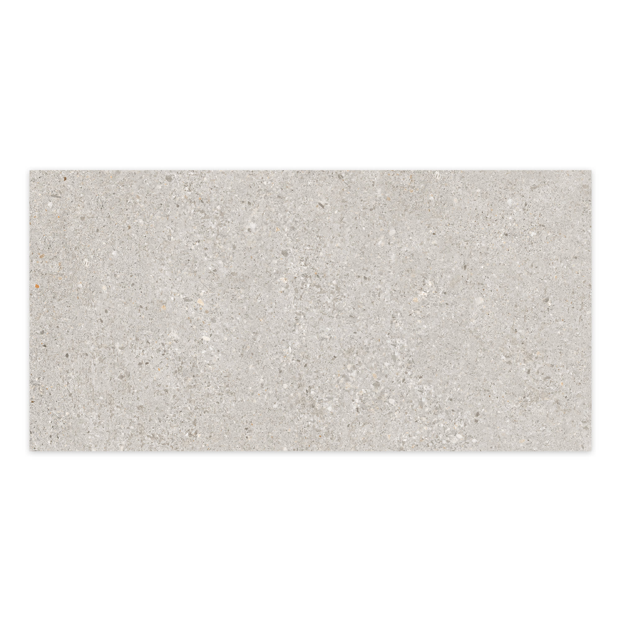 Carrelage effet Béton Gris Silver 100x50x2 cm Arvelis - Sol extérieur