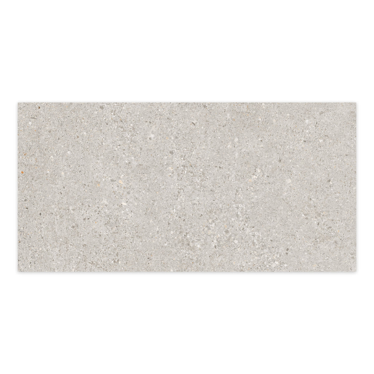 Carrelage effet Béton Gris Silver 100x50x2 cm Arvelis - Sol extérieur
