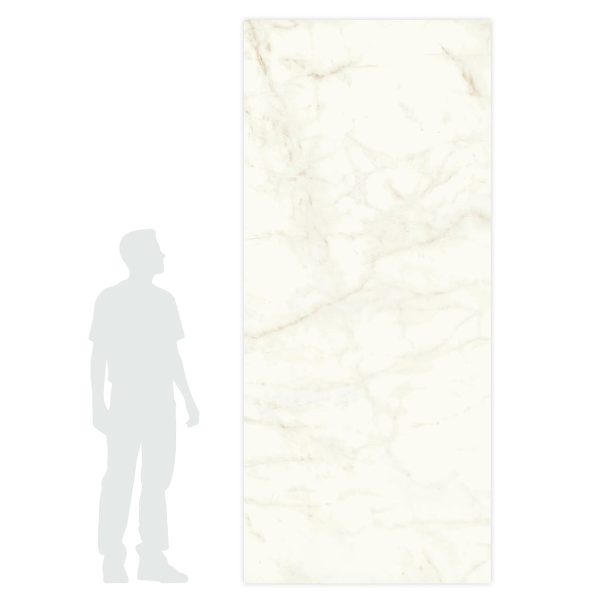 Carrelage effet Marbre Blanc Calacatta Celeste 278x120x0,6 cm Brillant Faventa - Mur intérieur