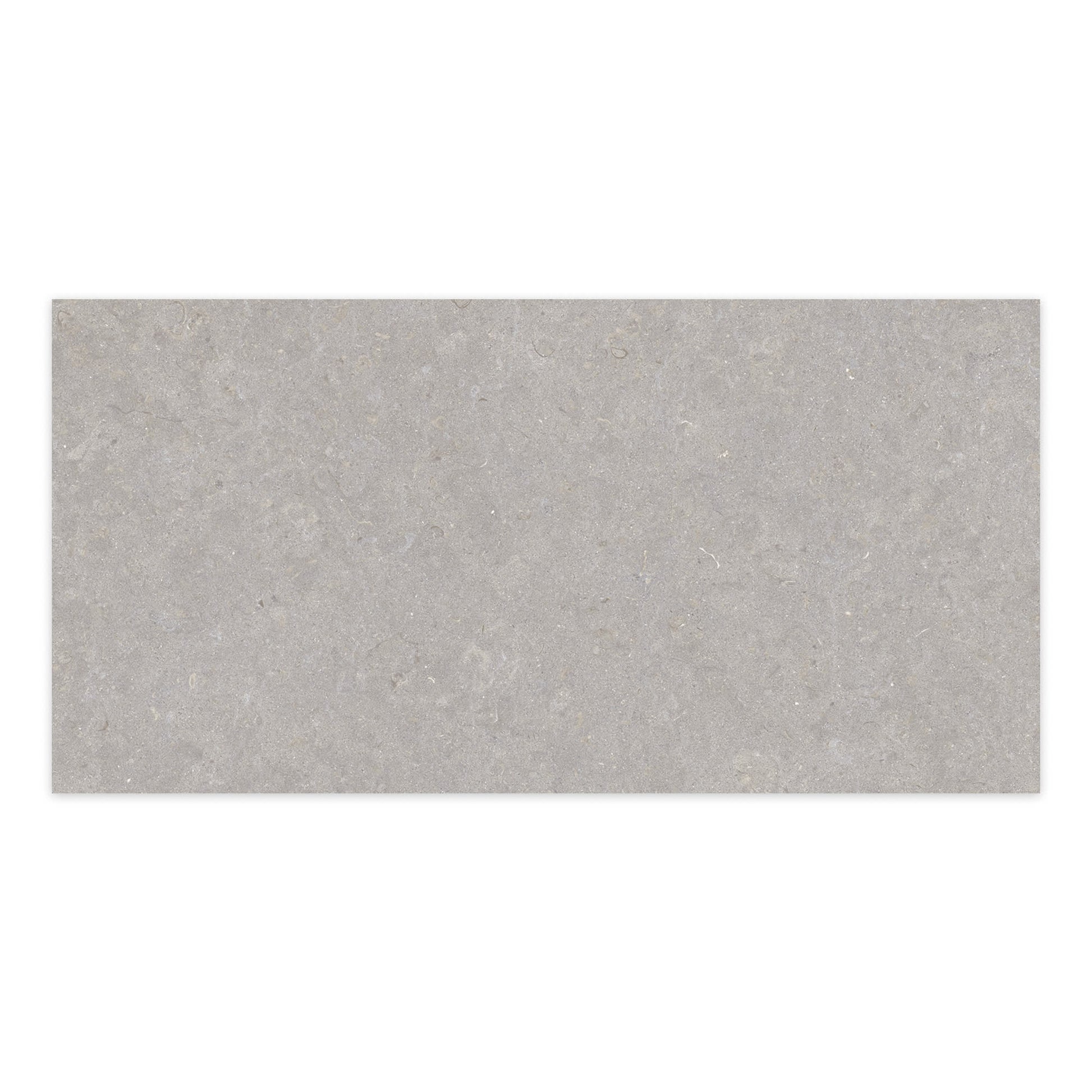 Carrelage effet Pierre Gris Cendré 100x50x2 cm Belmorin - Sol extérieur