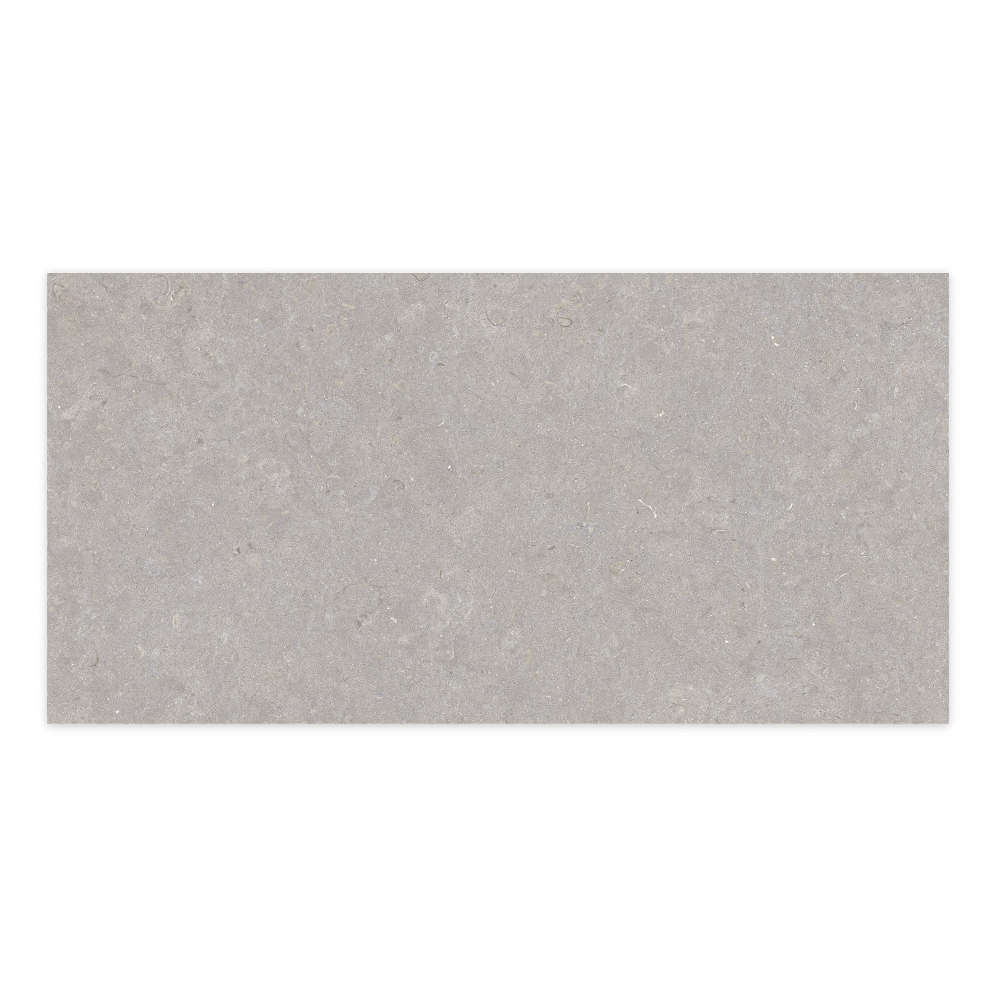 Carrelage effet Pierre Gris Cendré 100x50x2 cm Belmorin - Sol extérieur