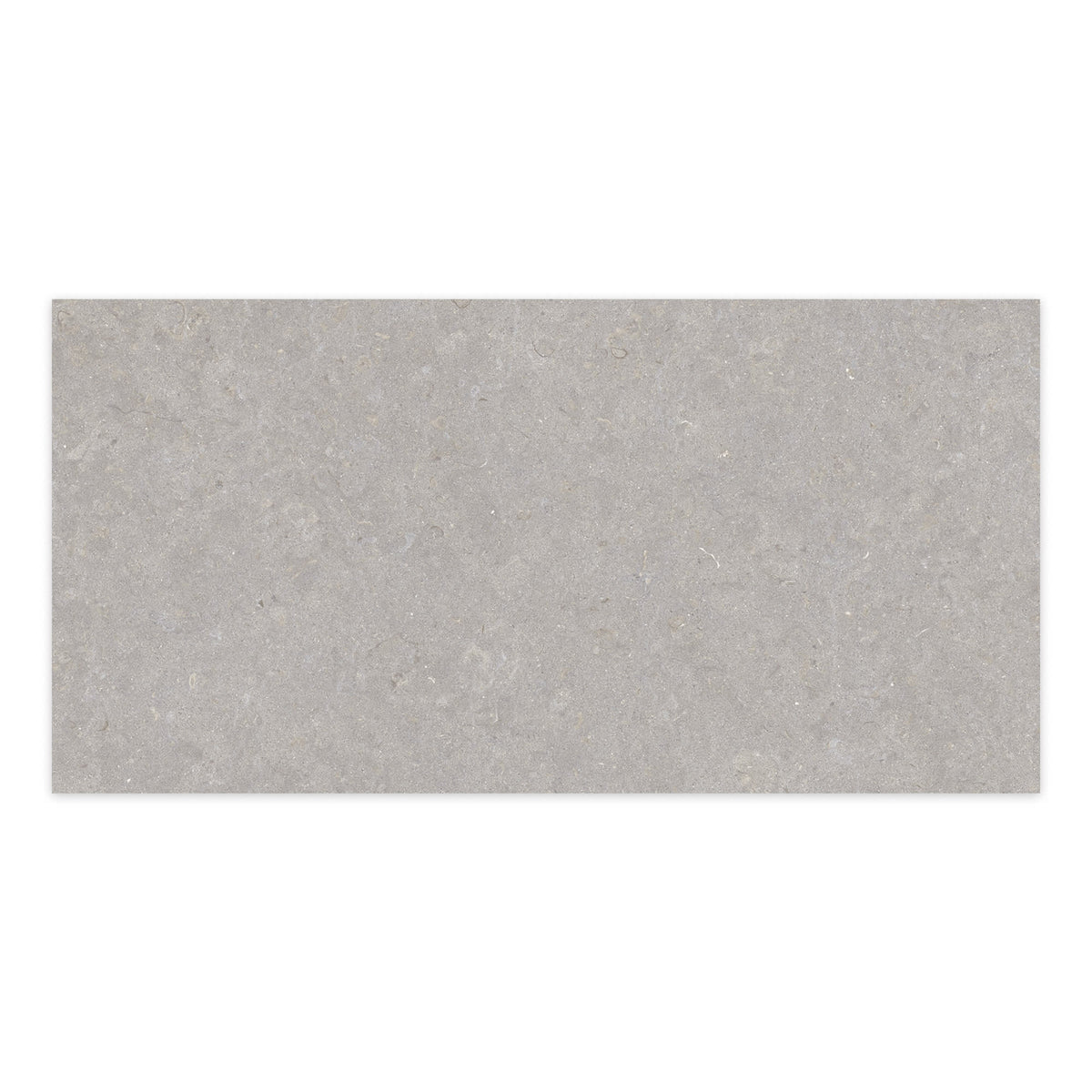 Carrelage effet Pierre Gris Cendré 100x50x2 cm Belmorin - Sol extérieur