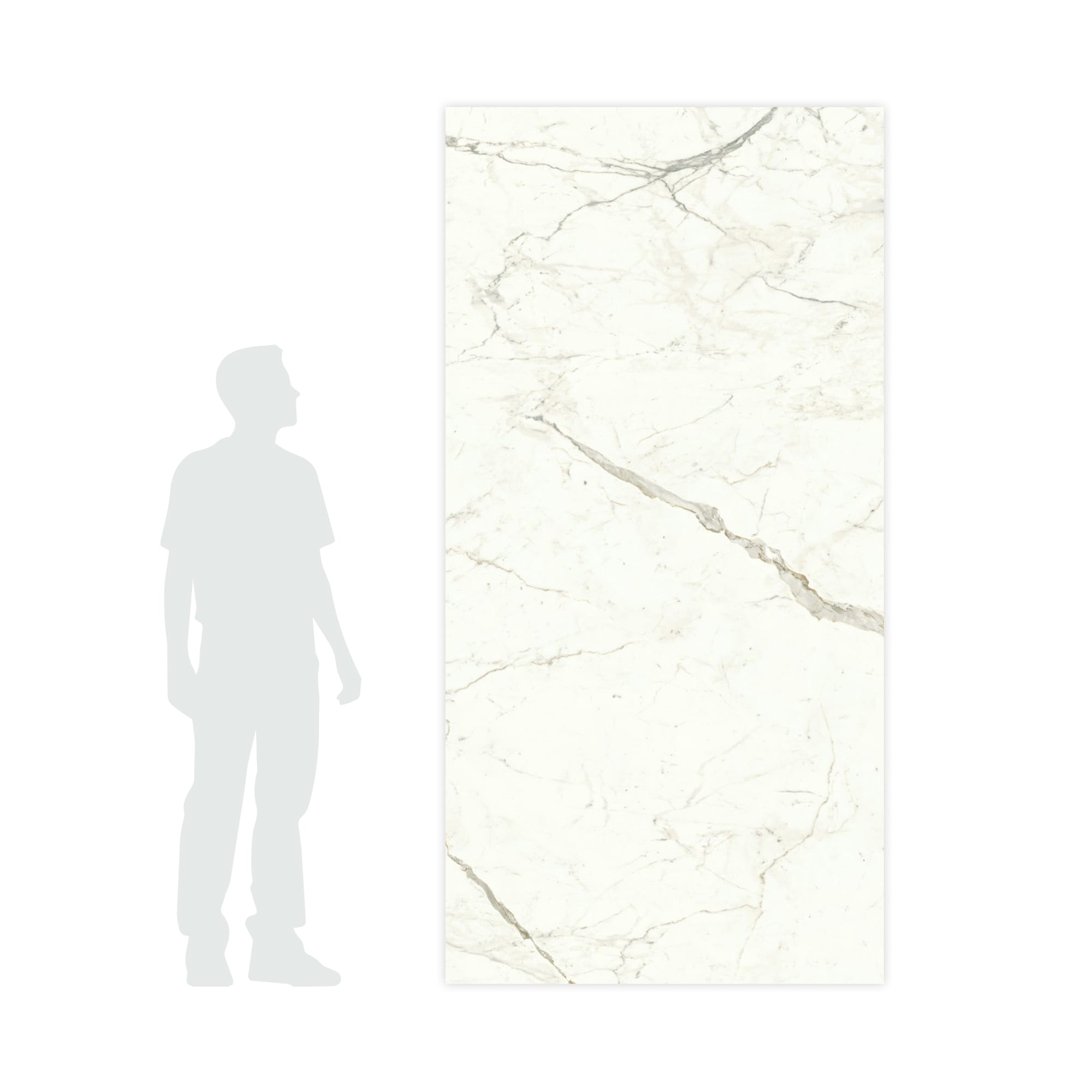 Carrelage effet Marbre Blanc Calacatta Prima 240x120x0,9 cm Brillant Faventa - Mur intérieur