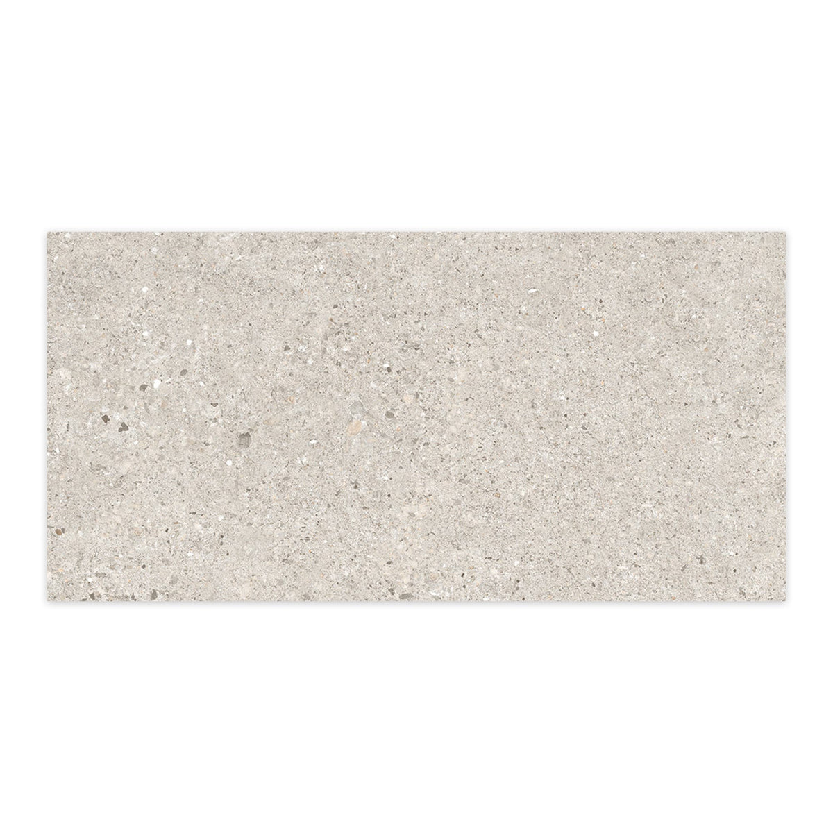 Carrelage effet Béton Gris Silver 120x60x0,9 cm In&Out Arvelis - Sol et mur intérieur et Sol extérieur
