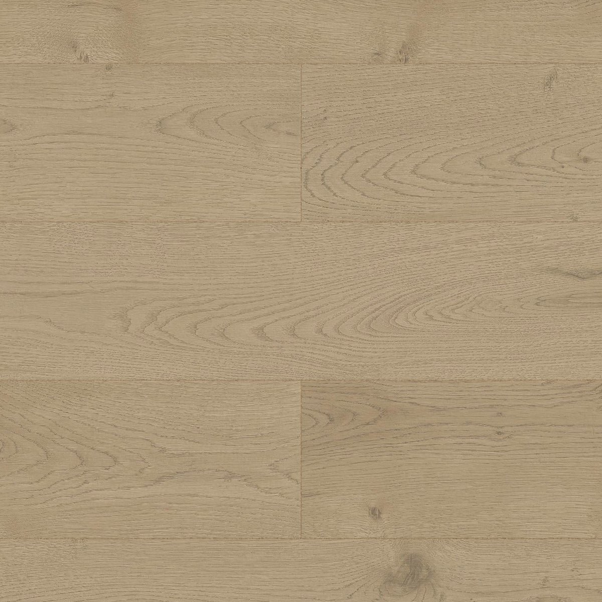 Carrelage effet Parquet Bois Chêne Cendré Rustic 120x20x0,9 cm Mat Forenza - Sol et mur intérieur