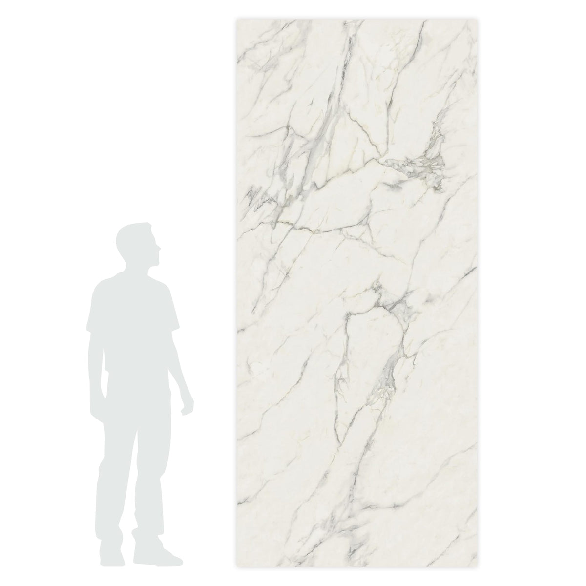 Carrelage effet Marbre Blanc Calacatta Extra Veinage continu 278x120x0,6 cm Brillant Clarenza - Mur intérieur