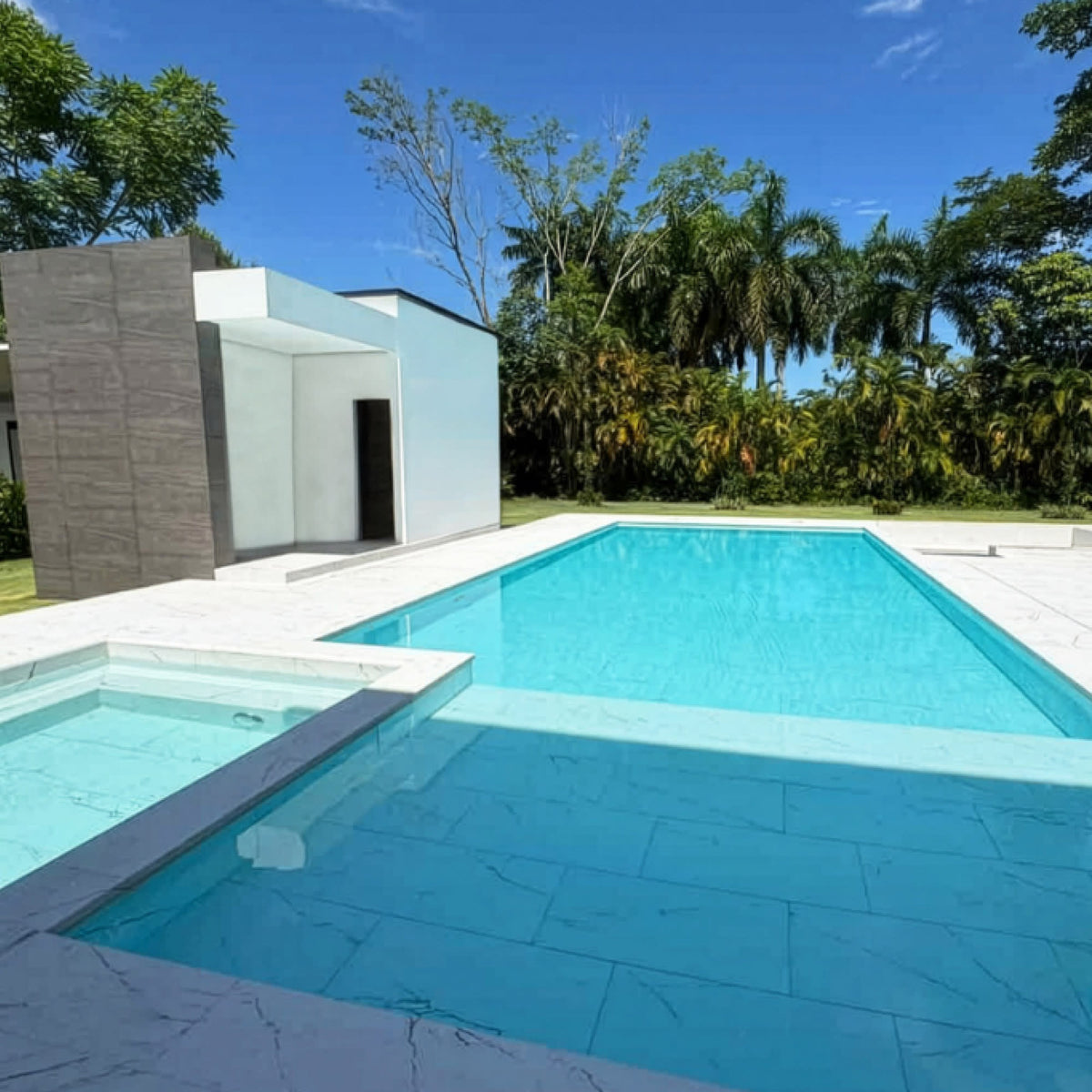 Carrelage Piscine effet Marbre Blanc Carrare 62,6x31x0,9 cm Capri