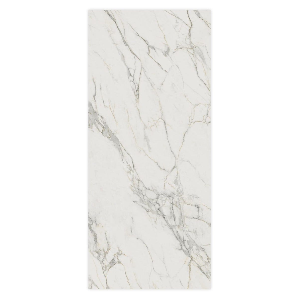 Carrelage effet Marbre Blanc Calacatta Extra 278x120x0,6 cm Brillant Clarenza - Mur intérieur