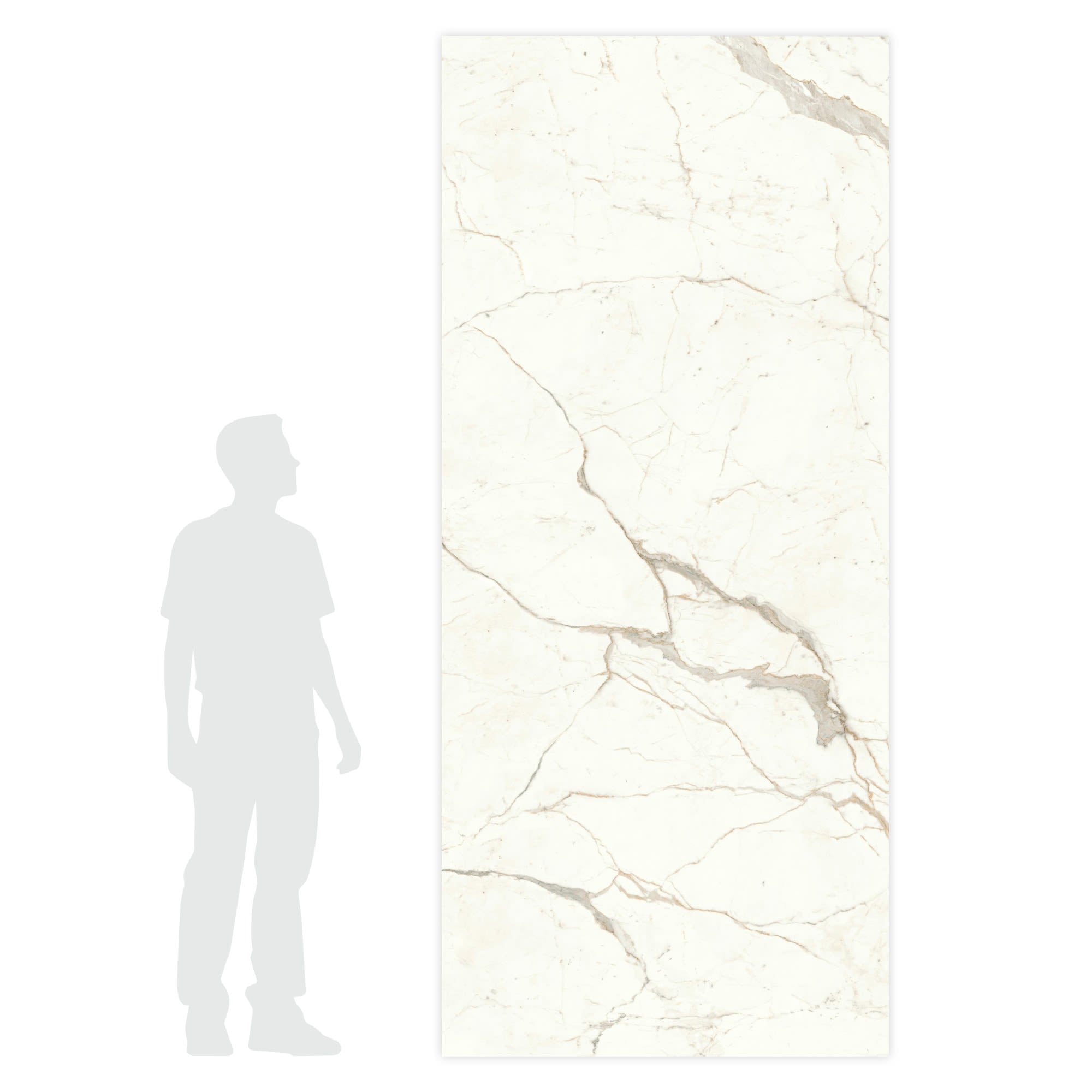 Carrelage effet Marbre Blanc Calacatta Prima 278x120x0,6 cm Brillant Faventa - Mur intérieur
