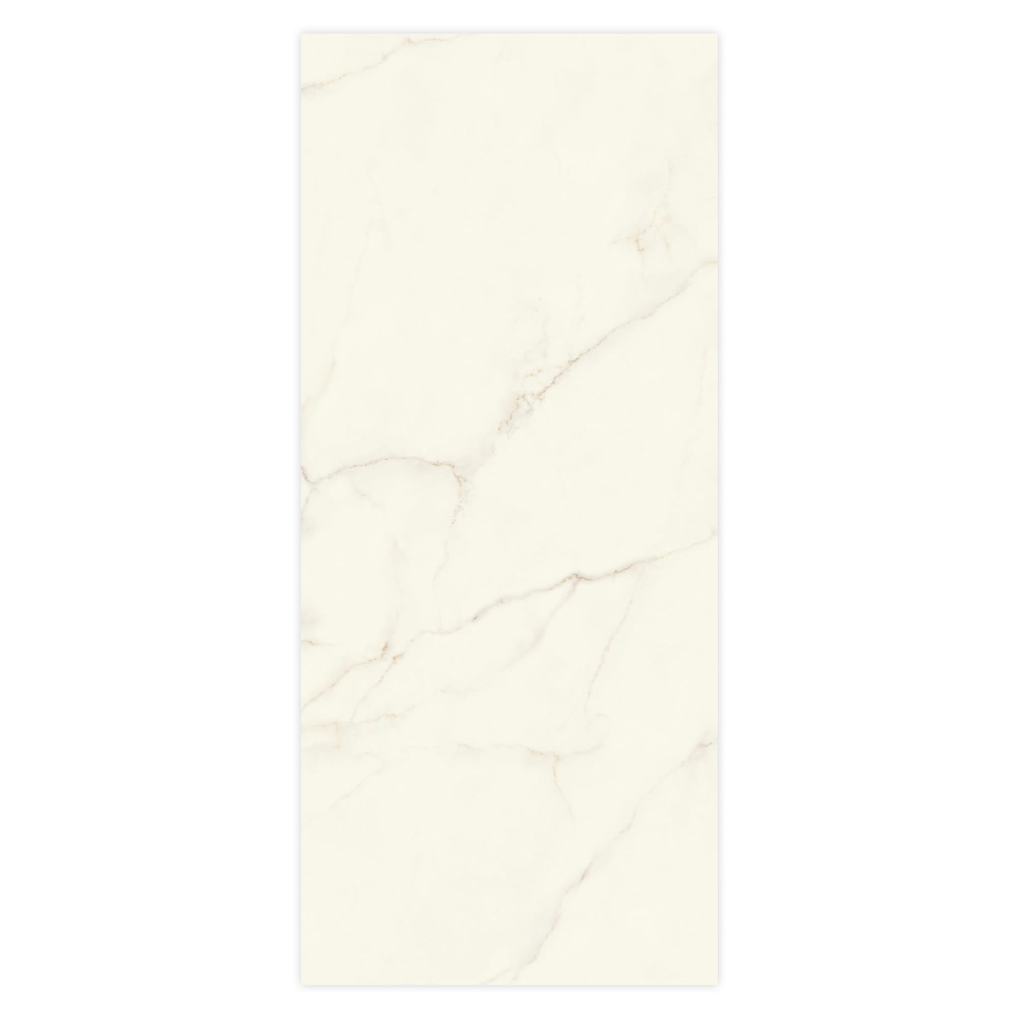 Carrelage effet Marbre Blanc Calacatta Divino 278x120x0,6 cm Brillant Montira - Mur intérieur