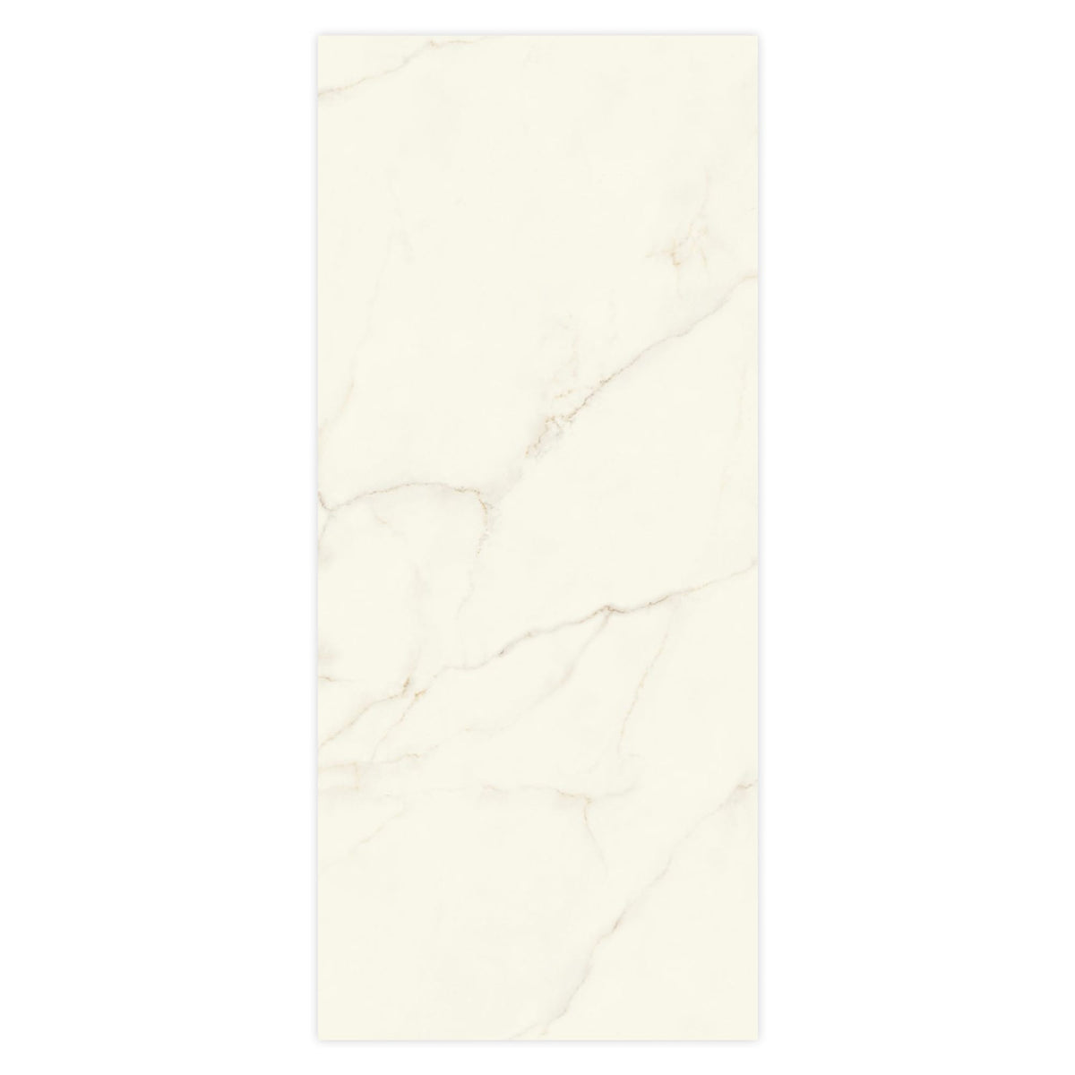 Carrelage effet Marbre Blanc Calacatta Divino 278x120x0,6 cm Brillant Montira - Mur intérieur