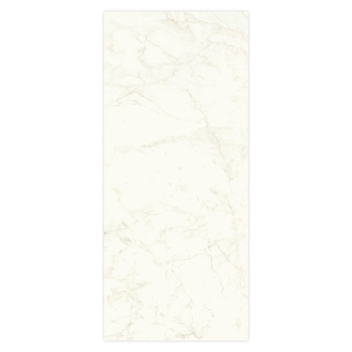 Carrelage effet Marbre Blanc Calacatta Celeste 278x120x0,6 cm Brillant Faventa - Mur intérieur