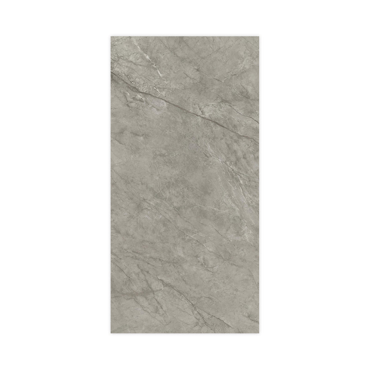 Carrelage effet Marbre Gris Royal 240x120x0,9 cm Brillant Orsiano - Mur intérieur