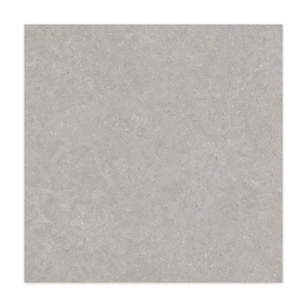 Carrelage effet Pierre Gris Cendré 100x100x2 cm Belmorin - Sol extérieur