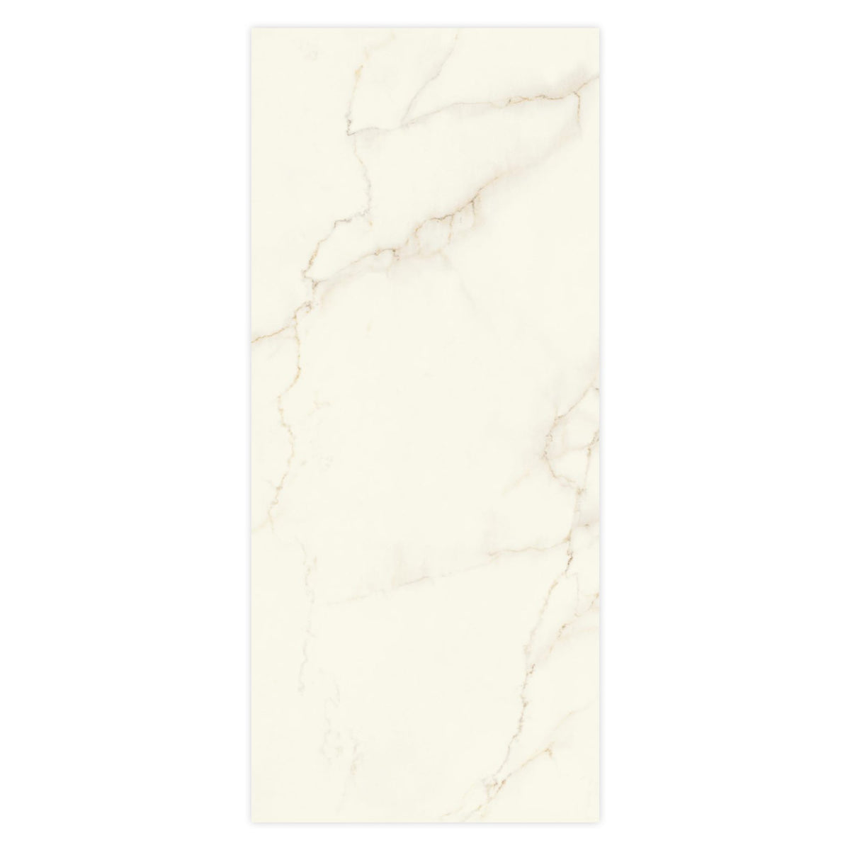 Carrelage effet Marbre Blanc Calacatta Divino 278x120x0,6 cm Silk Montira - Mur intérieur